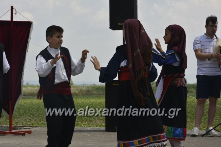 alexandriamou.gr_trikala28.5.2018203